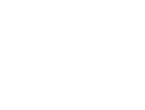 White Little Rock logo