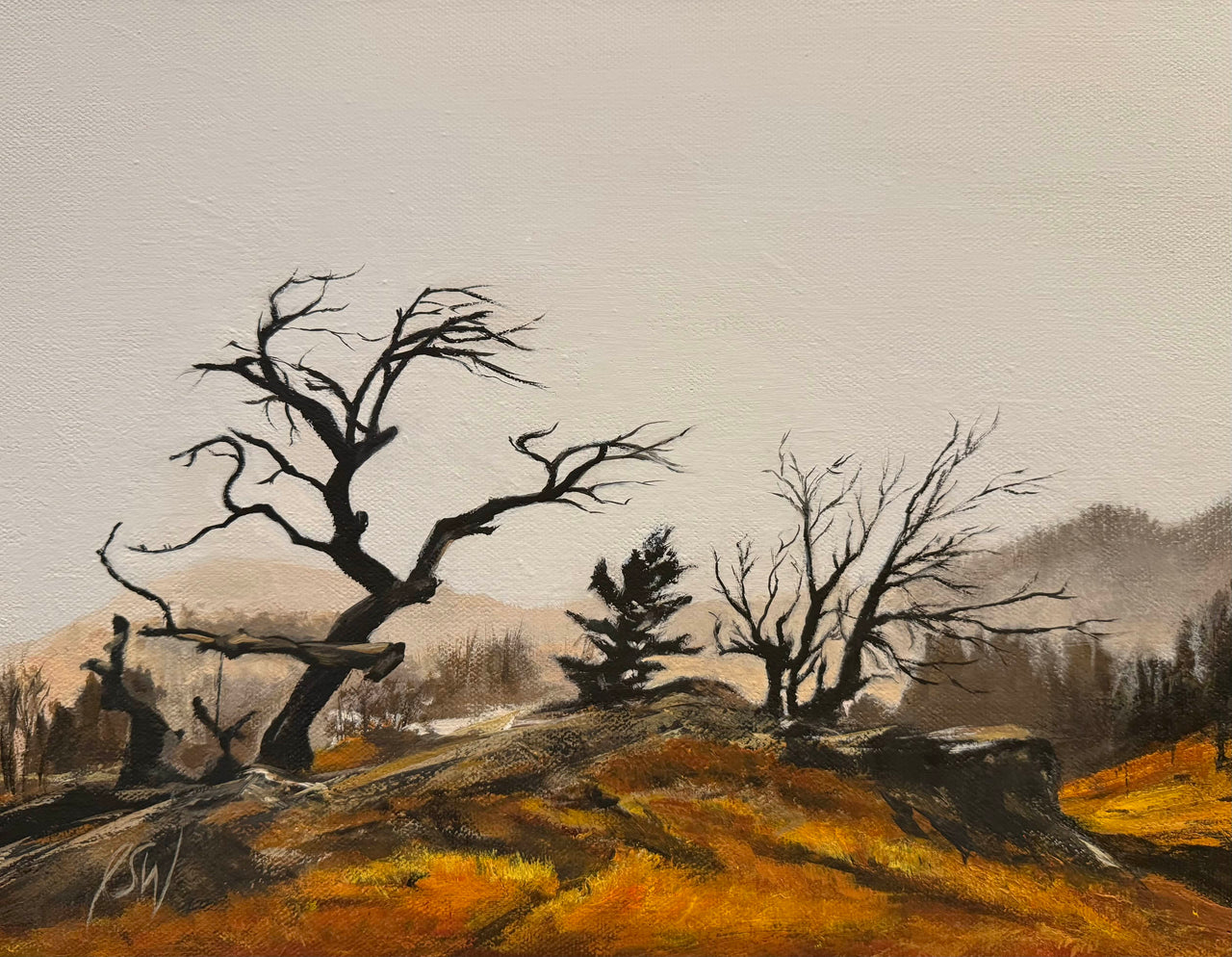 Jacqueline S Warkentin Fine Art