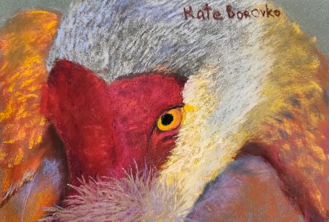 Kate Borovko