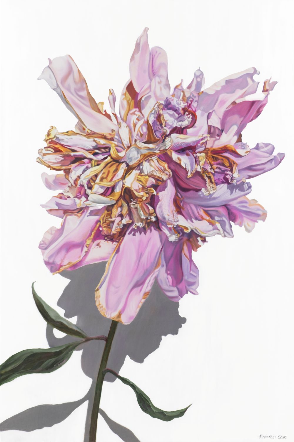 Kimberley Cook Fine Art