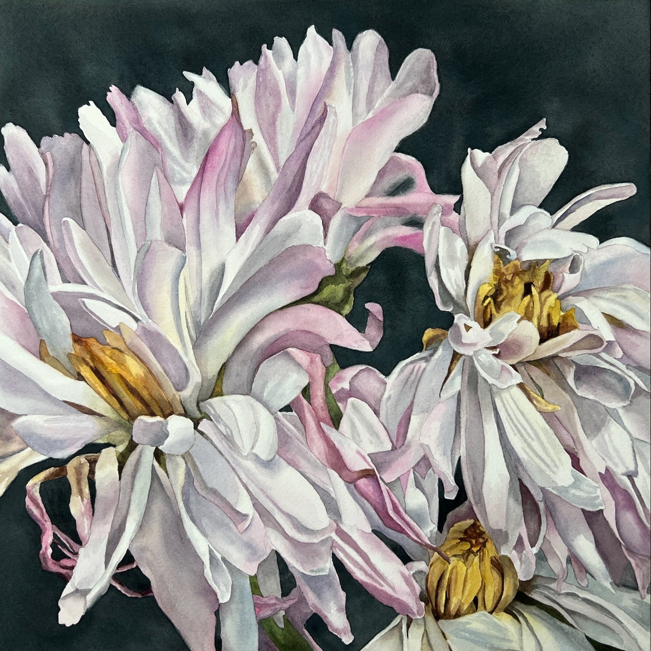 Meghan Dwyre