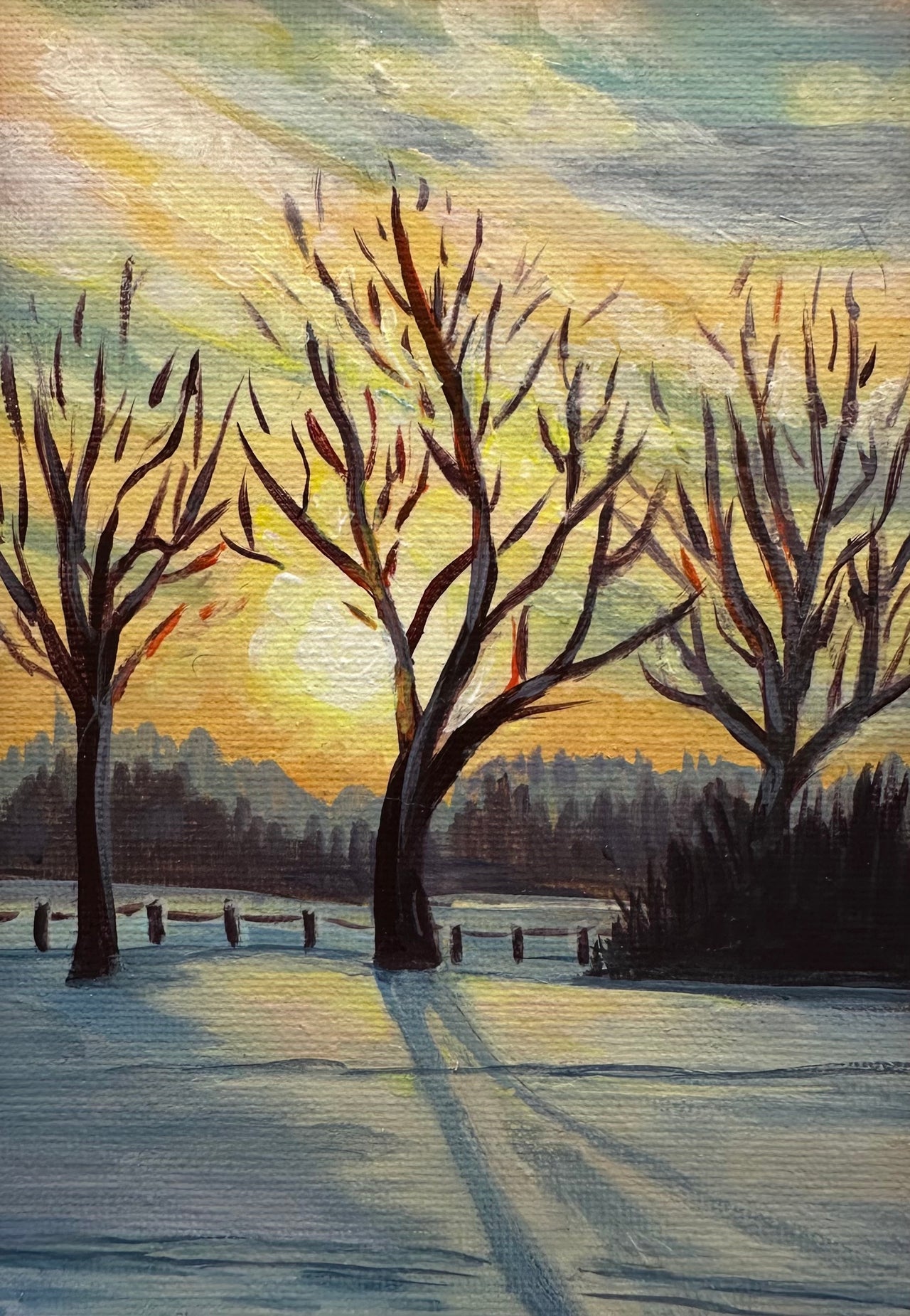 Tracy Sherdahl
